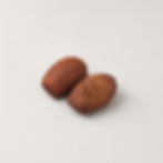 Plain Hojicha Madeleine