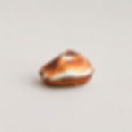 Jasmine Cherry S'mores