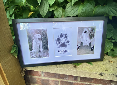 PAW PRINT PACKAGE, 2 prints and paw print image
