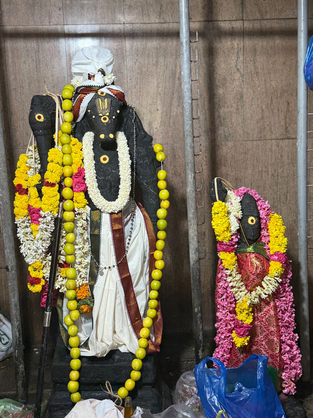 Consecrated elephants — Gaja Vāhana, center circle of the vahana mandala