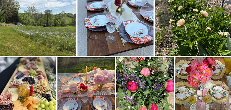 Flower Farm Picnic.png