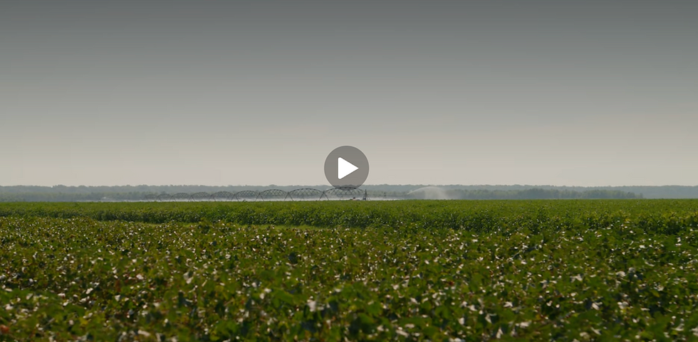 America’s Rural Future: Mississippi Delta site visits underscore trusted local leadership, access to capital, and institutional innovation and capacity as critical to rural development