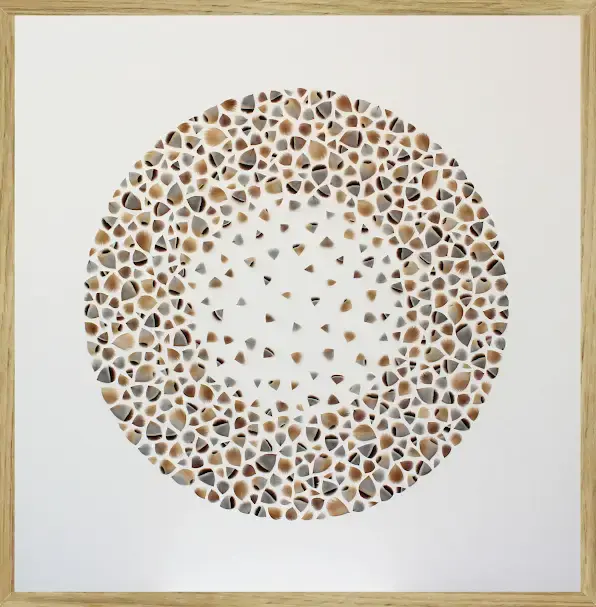 Lucie Vilaine L'onde de perdrix