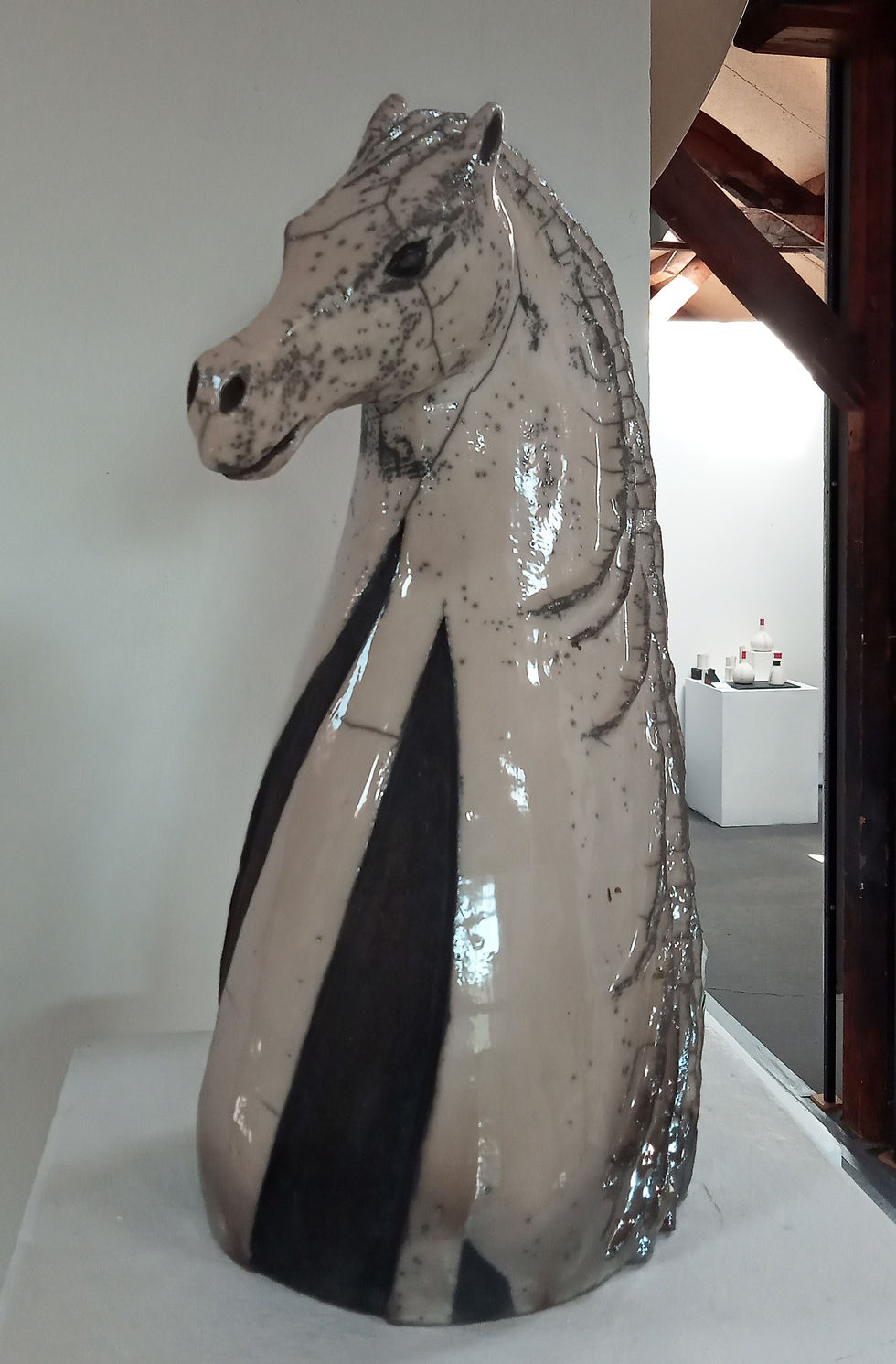 Anne Delahode_edited