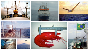 Uma história de pai para filhos... e para as lulas!