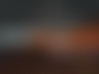 Microrganismos antárticos: entre o fogo e o gelo