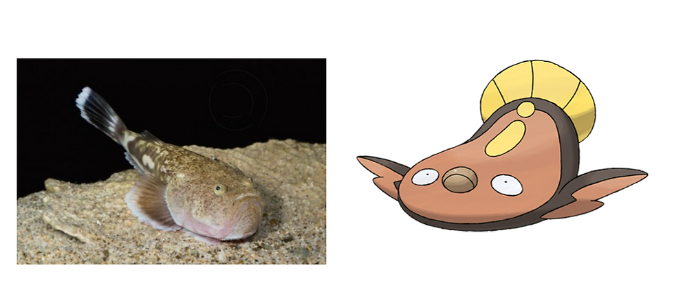 ree
