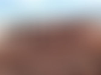 Um “mar” de algas