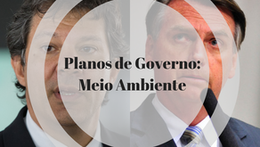 Análise dos programas de governo dos presidenciáveis Bolsonaro e Haddad: MEIO AMBIENTE