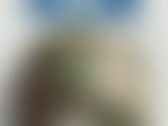 Two reasons to watch the documentary “Mission Blue”