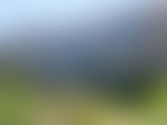 Choosing the Right Windows for Your Home: Styles, Materials & When to Upgrade