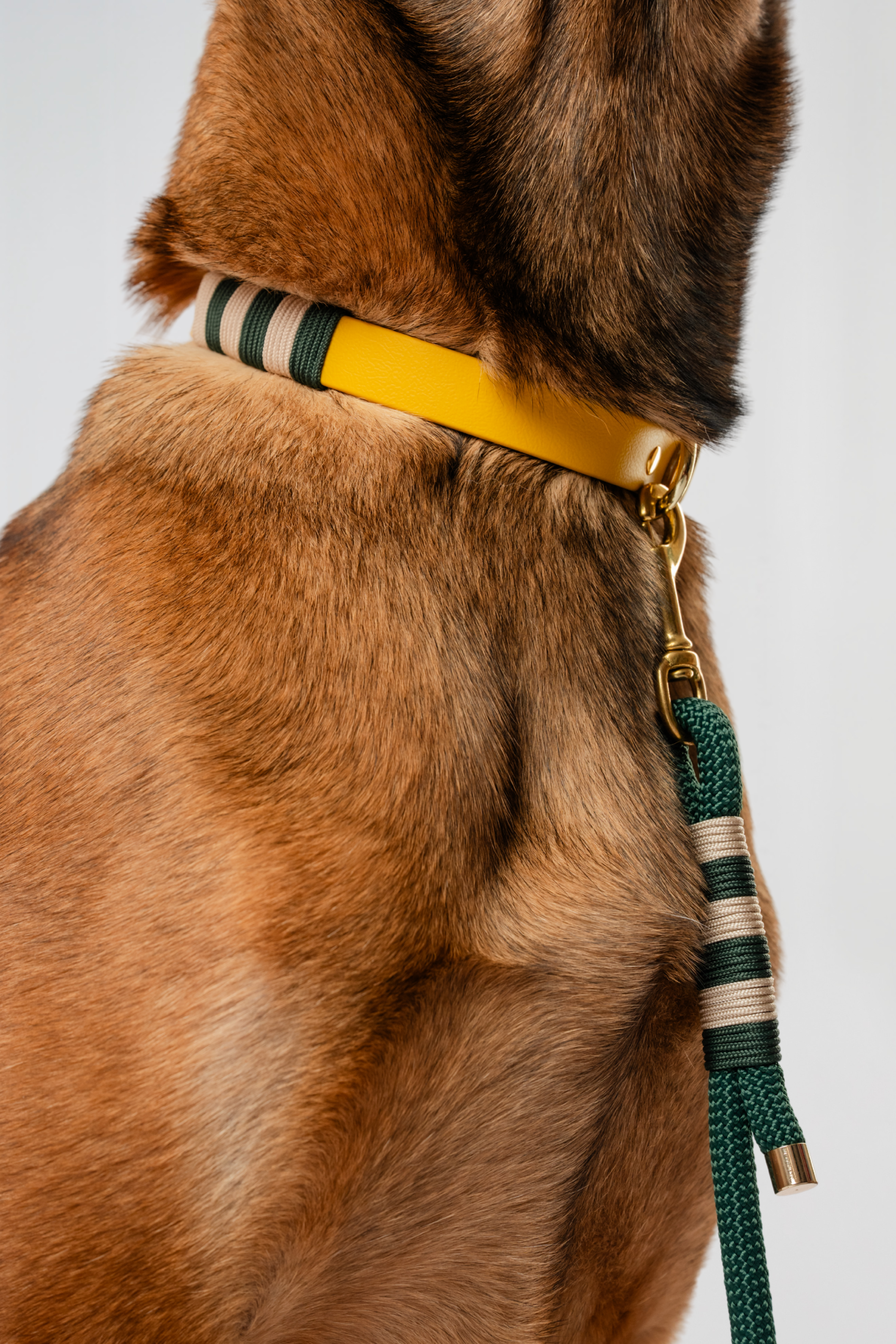 Halsband - Honeywood