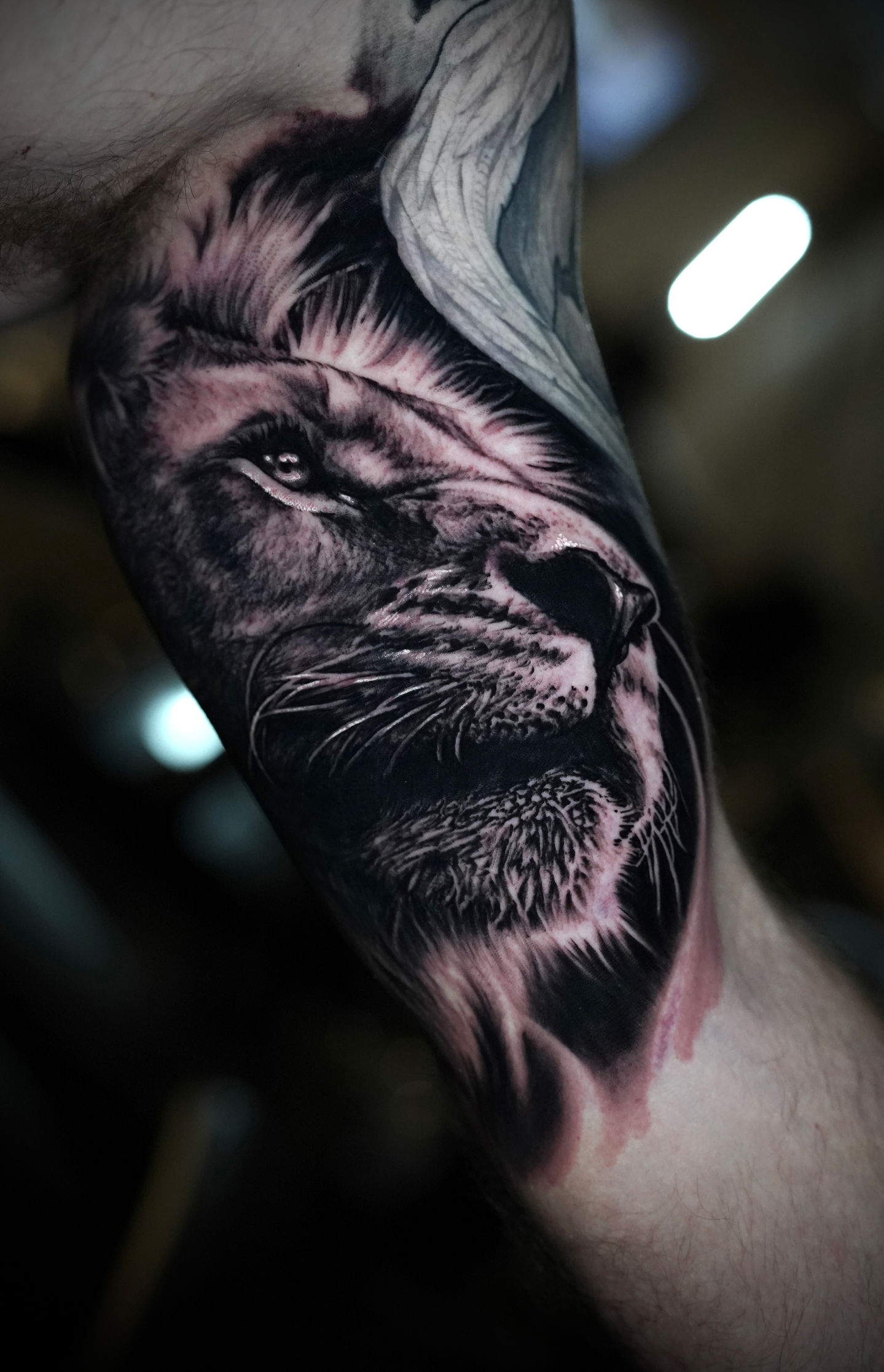 Close-up of a black and gray tattoo featuring a realistic lion's face, showcasing intricate fur texture and bold shading.