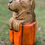 Thumbnail: Blossom - Chainsaw Carving Bear in a Pumpkin - 17" x 10"