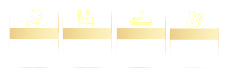 PC - PV Leticia Brasil alt (3).png