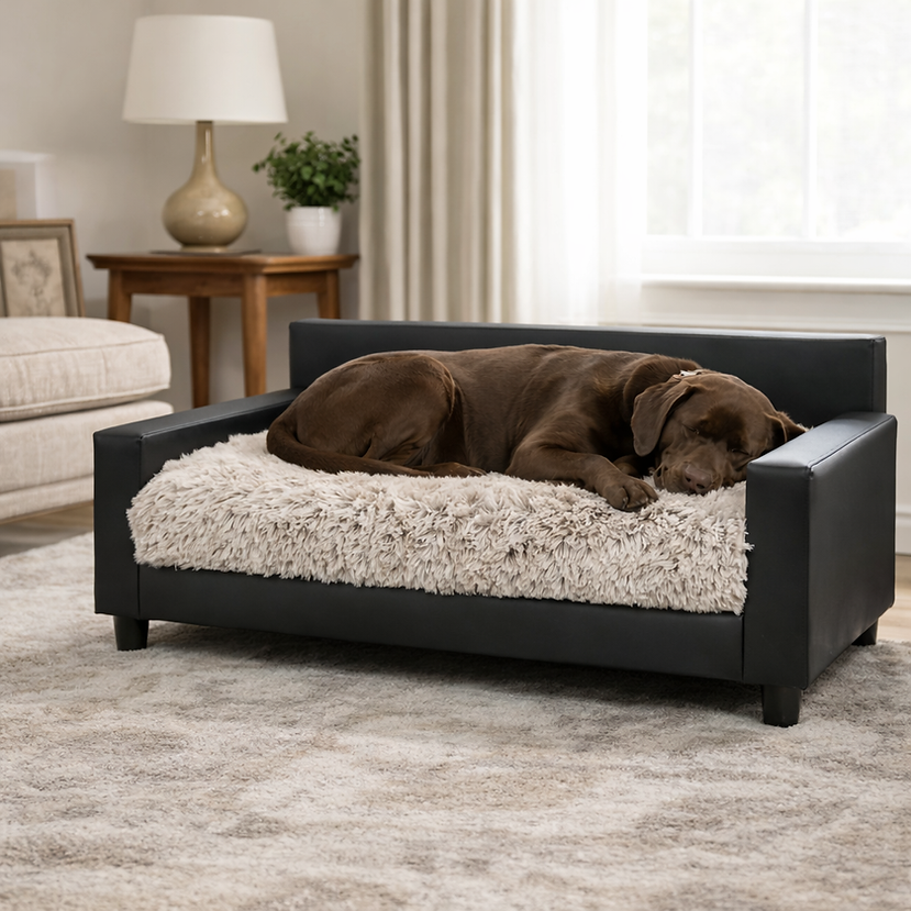 Sleeping Labrador on cozy dog sofa (1).png