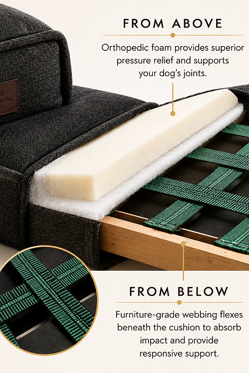 Webbing Image for Club Nine Pets