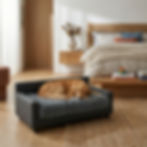 Dream Haven Orthopedic Dog Couch in gray with dog sleeping in room setting
