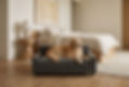 Metro Charcoal Sofa bed in room Setting