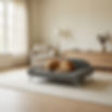 Dream Lounger with dog in room setting