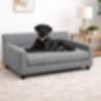 Thumbnail: METRO True Orthopedic Dog Couch Bed in Metal with dog in room setting