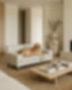Luxe sofa bed in room setting with Dog