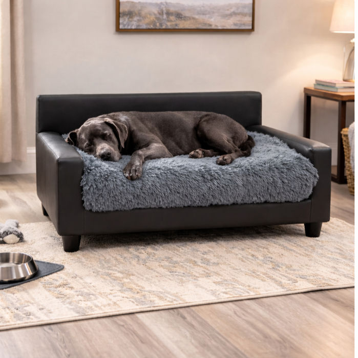 Club Nine Pets Dream Haven Orthopedic Dog Sofa Bed Gray with dog in room setting