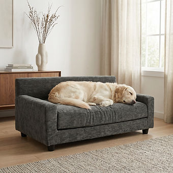Metro Orthopedic Dog Sofa Bed