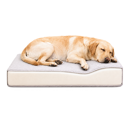 Orthopedic Foam Core