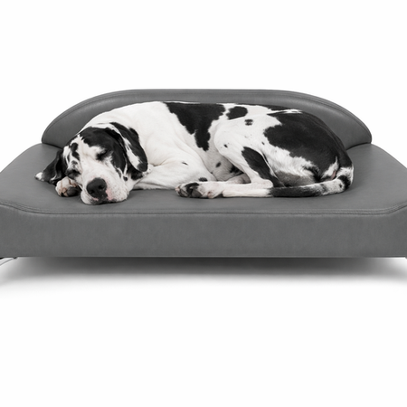 Great Dane sleeping on Dream Lounger bed from Club Nine Pets