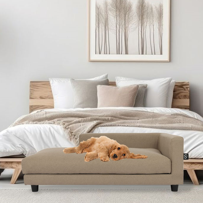 OPULENT Collection Dog Sofa Bed in Sand with Dog in room setting