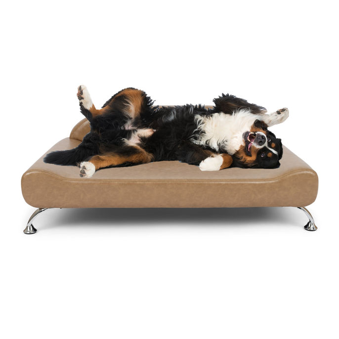 Dream Lounger Orthopedic Dog Bed for Large & Extra-Large Dogs in Cognac with dog