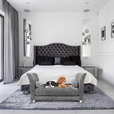 Stylish Dog Beds That Complement Your Home Décor 