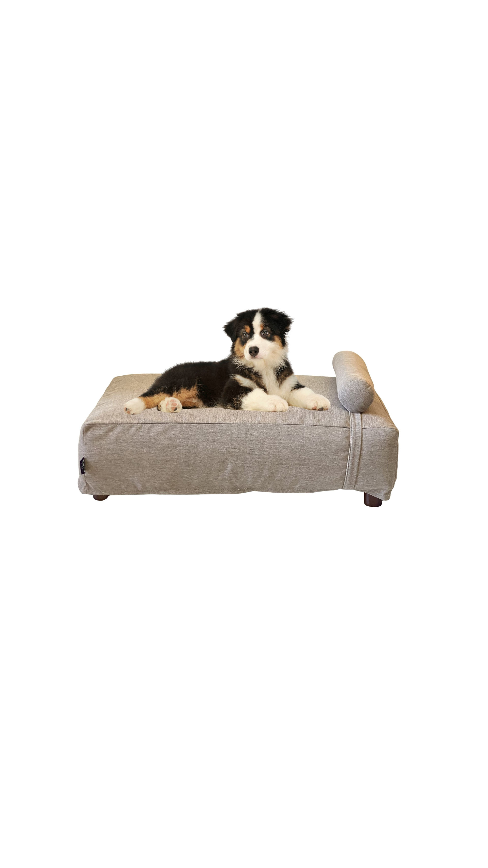 Contempo Dog Bed in Taupe