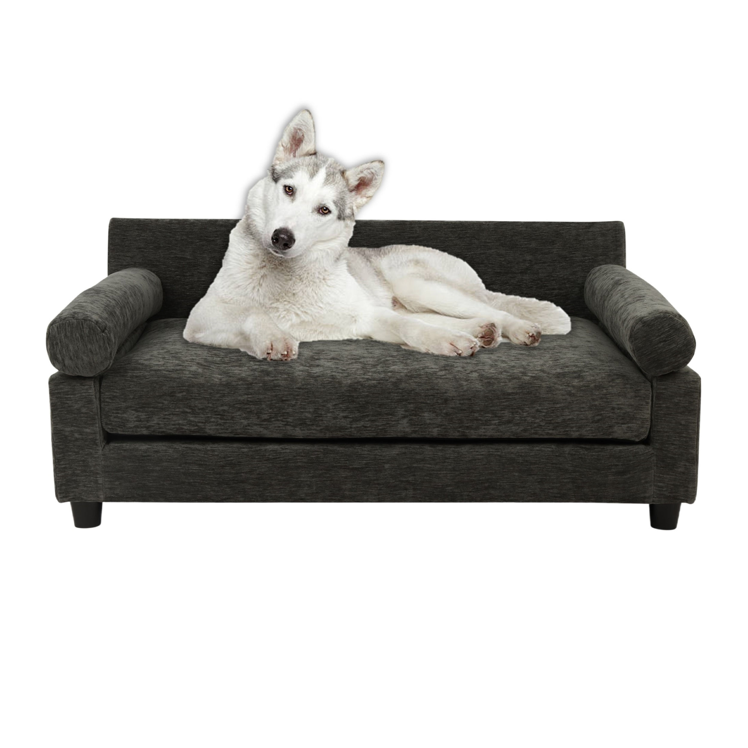 Blake Orthopedic Dog Sofa in Charcoal with Dog