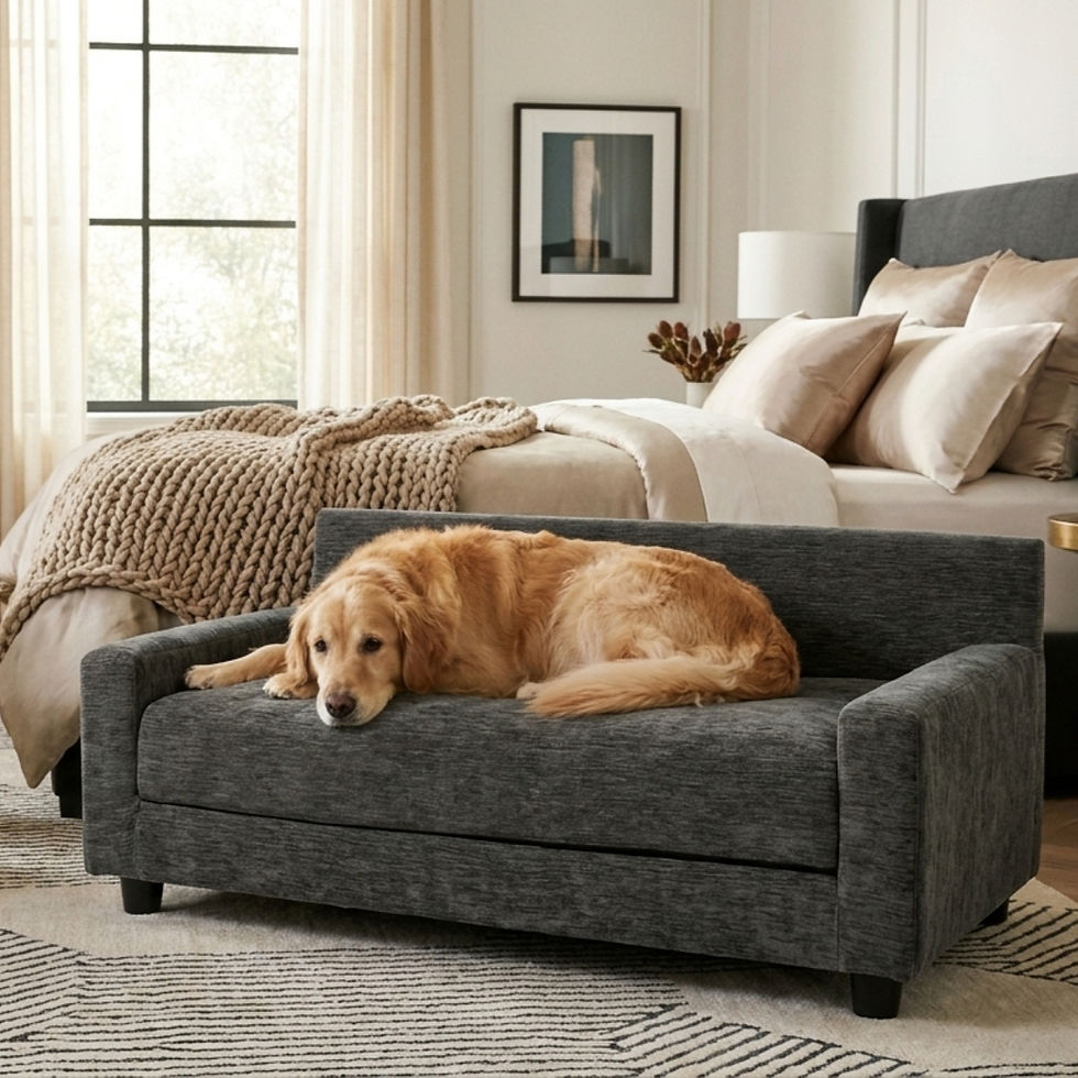 METRO True Orthopedic Dog Couch Bed in Charcoal with Dog in room setting