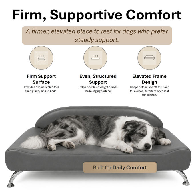 Dream Lounger Orthopedic Dog Bed for Large & Extra-Large Dogs Firm Supportive comfort