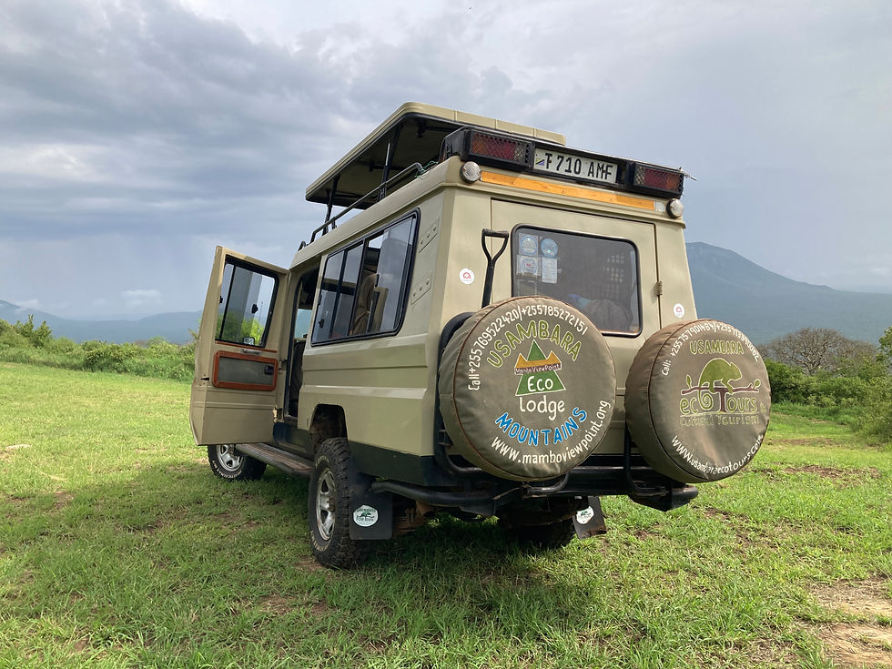 Safari Car open roof #mkomazi national park