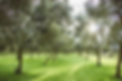 Screenshot 2023-07-04 at 6.39.02 PM.png