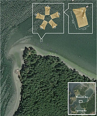 Eelgrass Hessian Bags_2022.png