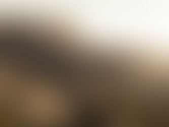 HOME IS WHERE EVER YOU FEEL LIKE IT