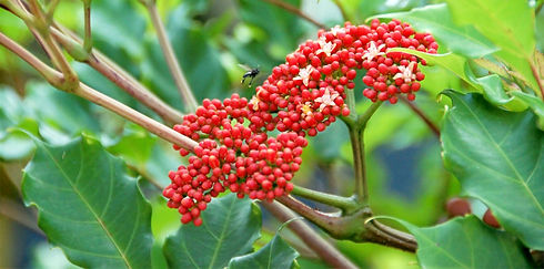 DSC_0142_edited_edited_edited.jpg