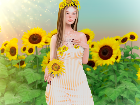 Girasoles