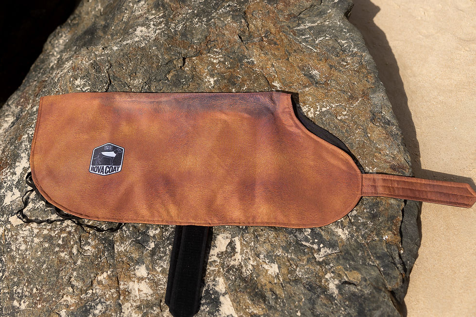Thumbnail: Rhodesian Ridgeback Coat 