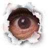 True crime peeping eye. True crime books. Serial killers.