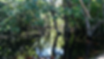 Hike in Cahuita National Park