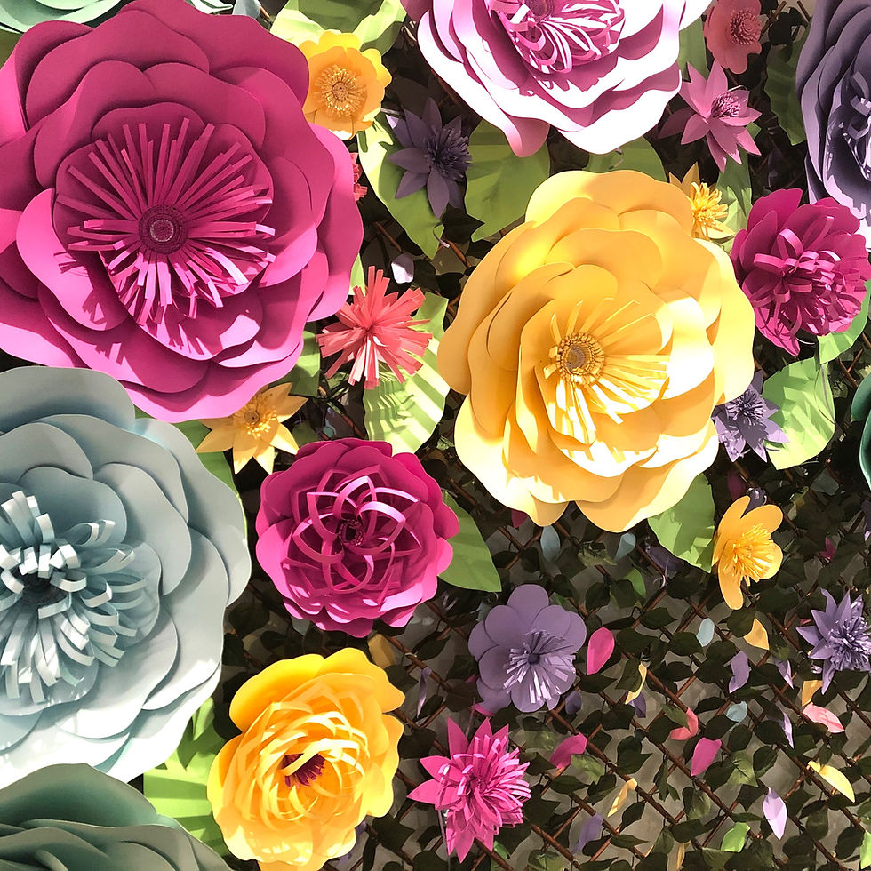 Geelong Big Blooms created by artist Tamara Zito. These giant flowers are the perfect backdrop for any event or brand actvation.