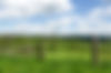 Country Scene, Open Pastures, Hudson Valley, NY.jpg