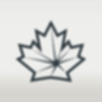 Brandmark w_ Bkgrnd_Navy_edited.jpg