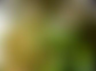 Evolutionary business